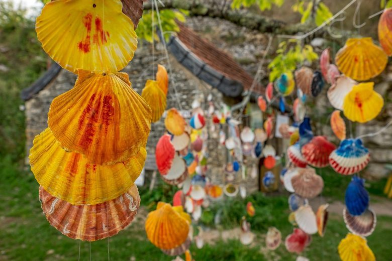 a bunch of seashells hanging from a tree